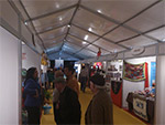 Feria del toro de Coria