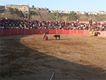 Feria del toro de Coria