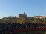 Feria del toro de Coria