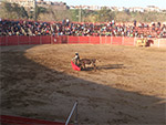 Feria del toro de Coria